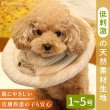 画像1: 【ポイント10倍で会員様はお得】  ドーナツエリザベスカラ-オーガニックボーダ-【1〜5号】ドーナツの輪が3つのタイプ (1)