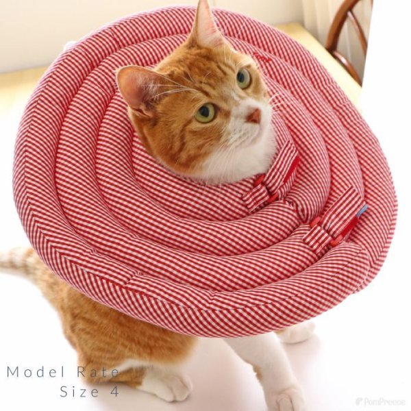 画像8: 【ポイント10倍で会員様はお得】　 ワイドドーナツエリザベスカラー ギンガム 【1〜5号】 (8)