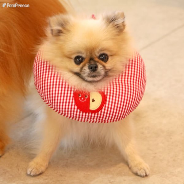 画像4: 【ポイント10倍で会員様はお得】 犬 猫 小動物 ペット用 エリザベスカラー ドーナツ型 発泡ビーズ ドーナツリング【1〜5号】 (4)