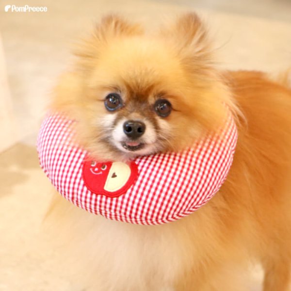 画像5: 【ポイント10倍で会員様はお得】 犬 猫 小動物 ペット用 エリザベスカラー ドーナツ型 発泡ビーズ ドーナツリング【1〜5号】 (5)