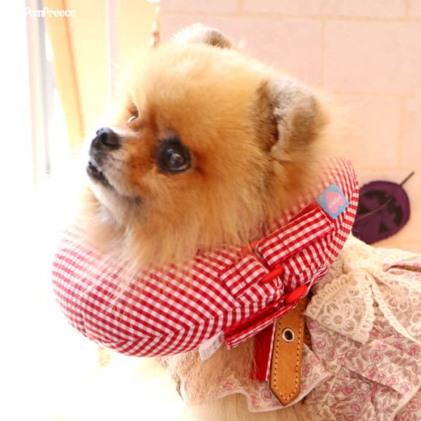 画像6: 【ポイント10倍で会員様はお得】 犬 猫 小動物 ペット用 エリザベスカラー ドーナツ型 発泡ビーズ ドーナツリング【1〜5号】 (6)