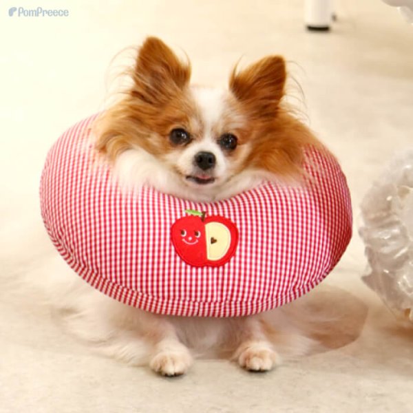 画像7: 【ポイント10倍で会員様はお得】 犬 猫 小動物 ペット用 エリザベスカラー ドーナツ型 発泡ビーズ ドーナツリング【1〜5号】 (7)