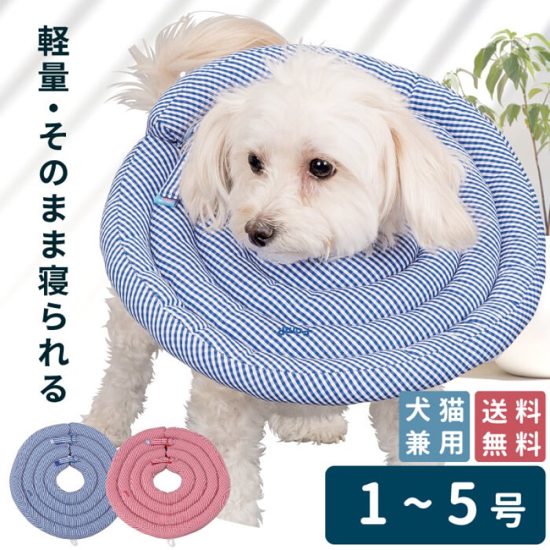 画像1: 【ポイント10倍で会員様はお得】　 ワイドドーナツエリザベスカラー ギンガム 【1〜5号】 (1)