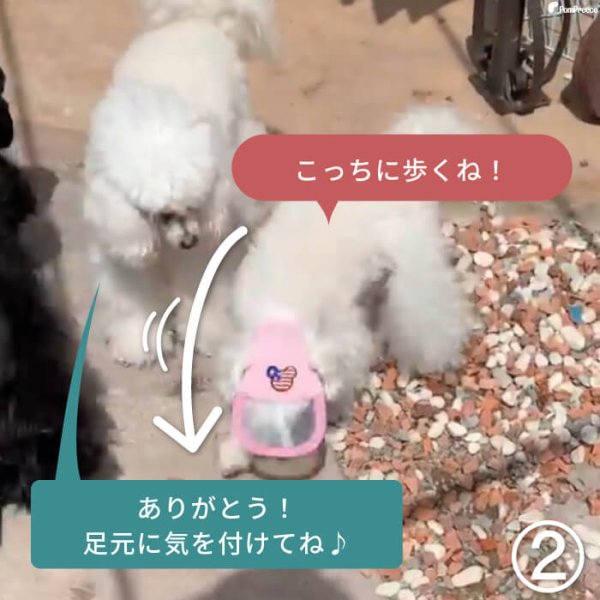 画像12: 【ポイント10倍で会員様はお得】】 入荷しました 犬用 介護用品 簡単装着 サイズ調整可 目が不自由な子用のサポートグッズ 盲目犬 視覚障害犬 アイ＆フェイスガード メッシュブリムハット【S〜LL】 (12)