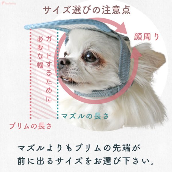 画像13: 【ポイント10倍で会員様はお得】】 入荷しました 犬用 介護用品 簡単装着 サイズ調整可 目が不自由な子用のサポートグッズ 盲目犬 視覚障害犬 アイ＆フェイスガード メッシュブリムハット【S〜LL】 (13)