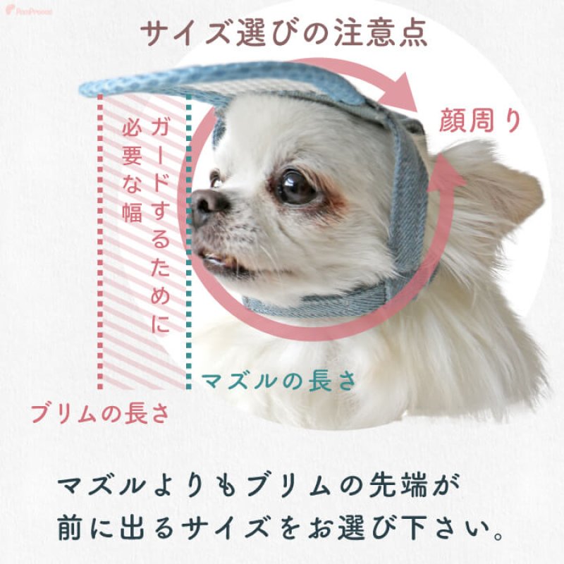 画像13: 【ポイント10倍で会員様はお得】犬用 介護用品 簡単装着 サイズ調整可 目が不自由な子用のサポートグッズ 盲目犬 視覚障害犬 アイ＆フェイスガード メッシュブリムハット【S〜LL】 (13)