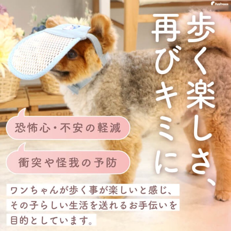 画像2: 【ポイント10倍で会員様はお得】犬用 介護用品 簡単装着 サイズ調整可 目が不自由な子用のサポートグッズ 盲目犬 視覚障害犬 アイ＆フェイスガード メッシュブリムハット【S〜LL】 (2)