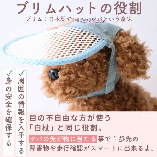 画像3: 【ポイント10倍で会員様はお得】】 入荷しました 犬用 介護用品 簡単装着 サイズ調整可 目が不自由な子用のサポートグッズ 盲目犬 視覚障害犬 アイ＆フェイスガード メッシュブリムハット【S〜LL】 (3)