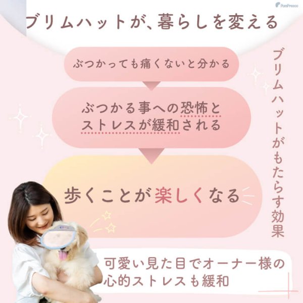 画像4: 【ポイント10倍で会員様はお得】】 入荷しました 犬用 介護用品 簡単装着 サイズ調整可 目が不自由な子用のサポートグッズ 盲目犬 視覚障害犬 アイ＆フェイスガード メッシュブリムハット【S〜LL】 (4)