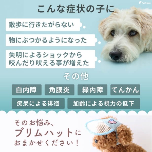 画像5: 【ポイント10倍で会員様はお得】】 入荷しました 犬用 介護用品 簡単装着 サイズ調整可 目が不自由な子用のサポートグッズ 盲目犬 視覚障害犬 アイ＆フェイスガード メッシュブリムハット【S〜LL】 (5)