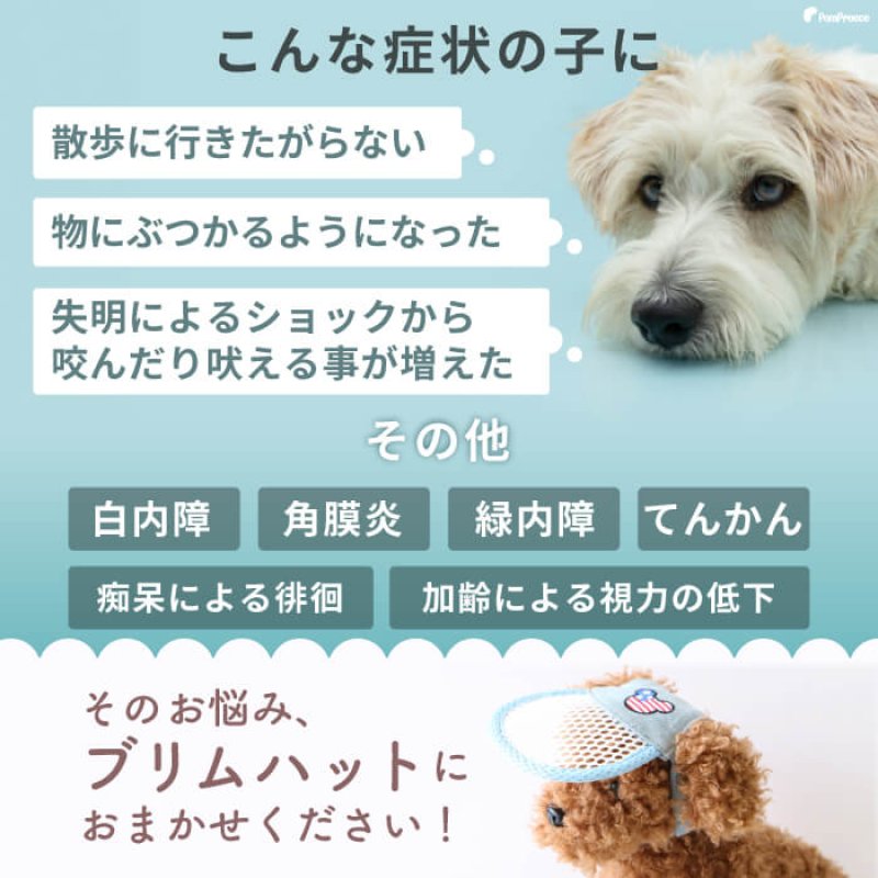 画像5: 【ポイント10倍で会員様はお得】犬用 介護用品 簡単装着 サイズ調整可 目が不自由な子用のサポートグッズ 盲目犬 視覚障害犬 アイ＆フェイスガード メッシュブリムハット【S〜LL】 (5)