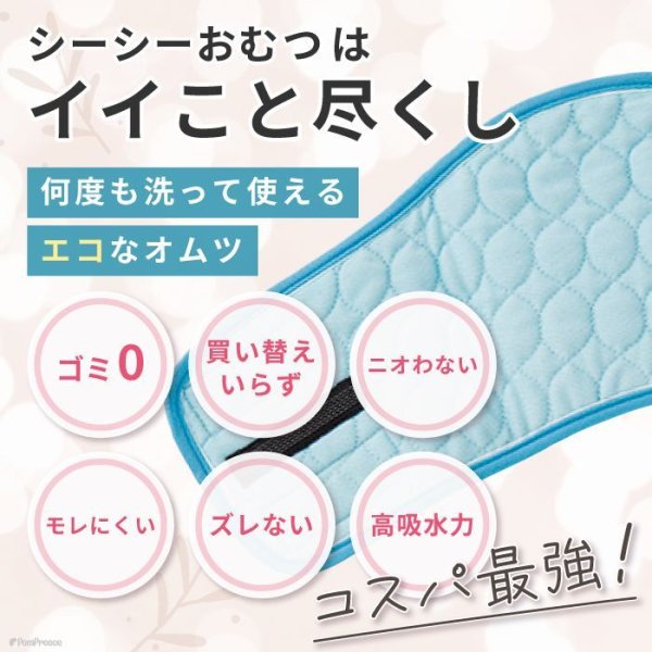 画像2: 【SALEでお得※在庫限りお早めに】おためし1枚入 オス用洗えるシーシーオムツバージョンII【1〜5号】 (2)