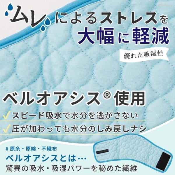 画像5: 【SALEでお得※在庫限りお早めに】おためし1枚入 オス用洗えるシーシーオムツバージョンII【1〜5号】 (5)