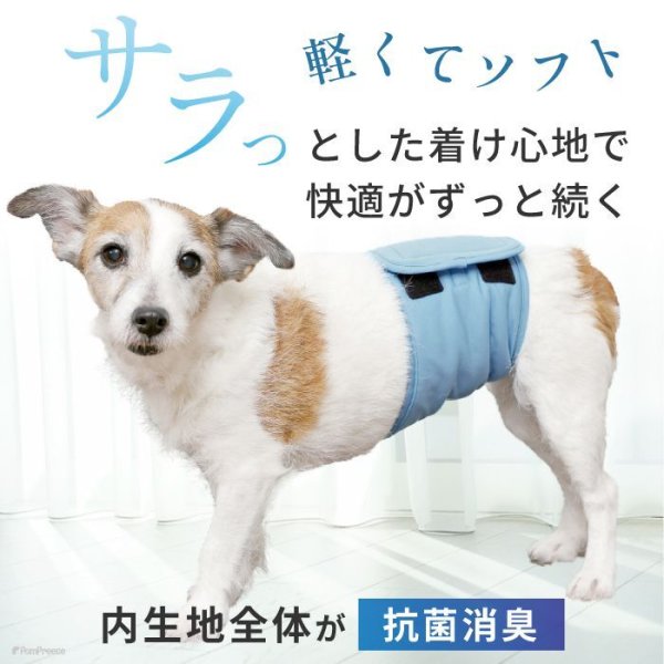 画像8: 【SALEでお得※在庫限りお早めに】おためし1枚入 オス用洗えるシーシーオムツバージョンII【1〜5号】 (8)