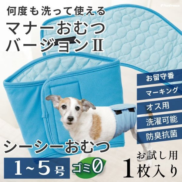 画像1: 【SALEでお得※在庫限りお早めに】おためし1枚入 オス用洗えるシーシーオムツバージョンII【1〜5号】 (1)