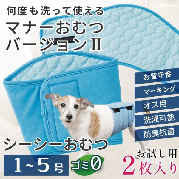画像1: 【SALEでお得※在庫限りお早めに】おためし2枚入 オス用洗えるシーシーオムツバージョンII【1〜5号】 (1)