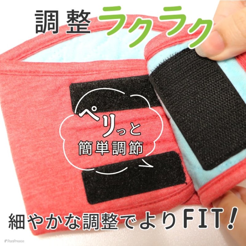 画像12: 【SALEでお得※在庫限りお早めに】【大好評50％OFF】[3枚組]オス用洗えるシーシーおむつ 【1〜10号】※カラーはベージュ色 (12)