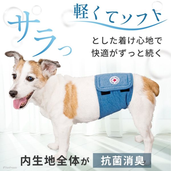 画像10: 【SALEでお得※在庫限りお早めに】【大好評50％OFF】[おためし1枚入]オス用洗えるシーシーおむつ ※カラーはベージュ【1〜10号】 (10)