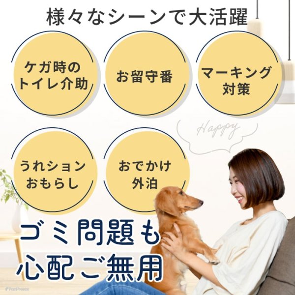 画像11: 【SALEでお得※在庫限りお早めに】【大好評50％OFF】[おためし1枚入]オス用洗えるシーシーおむつ ※カラーはベージュ【1〜10号】 (11)