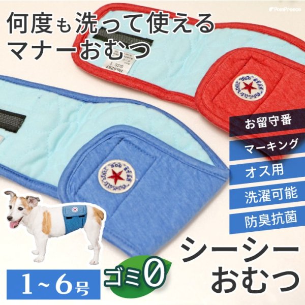 画像1: 【ポイント10倍で会員様はお得】 在庫限りで50％OFF オス用洗えるシーシーオムツドッグスター【1〜4号】 (1)