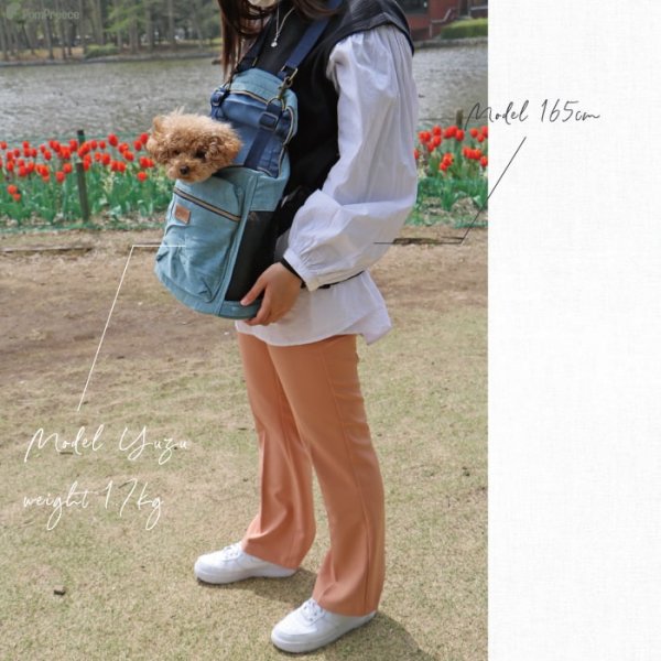 画像10: 【ポイント10倍で会員様はお得】 犬 犬用 ネコ お出かけバッグ キャリーバッグ ショルダーバック WEB限定 おしゃれ キャリーケースPom Pomバッグ　トラディショナ 【Mサイズ】 (10)