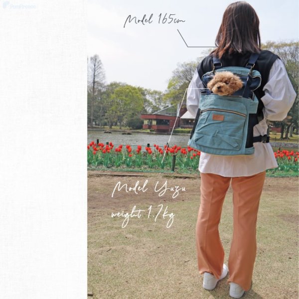 画像13: 【ポイント10倍で会員様はお得】 犬 犬用 ネコ お出かけバッグ キャリーバッグ ショルダーバック WEB限定 おしゃれ キャリーケースPom Pomバッグ　トラディショナ 【Mサイズ】 (13)