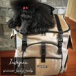 画像19: 【ポイント10倍で会員様はお得】耐荷重12kg 犬猫用ランドリュック ビッグフィットキャリー※ブラックのみ在庫限り (19)