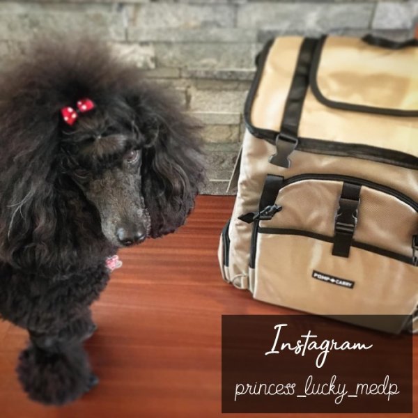 画像18: 耐荷重12kg 犬猫用ランドリュック ビッグフィットキャリー※ブラックのみ在庫限り (18)