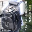 画像1: 【ポイント10倍で会員様はお得】耐荷重12kg 犬猫用ランドリュック ビッグフィットキャリー※ブラックのみ在庫限り (1)