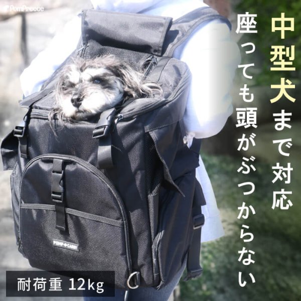 画像1: 【ポイント10倍で会員様はお得】耐荷重12kg 犬猫用ランドリュック ビッグフィットキャリー※ブラックのみ在庫限り (1)