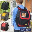 画像1: 【セール品15％OFF】 猫用ペットキャリー3WAYタッチインリュック スカイキャリ― 旅行 通院 散歩 折り畳み収納可能 (1)