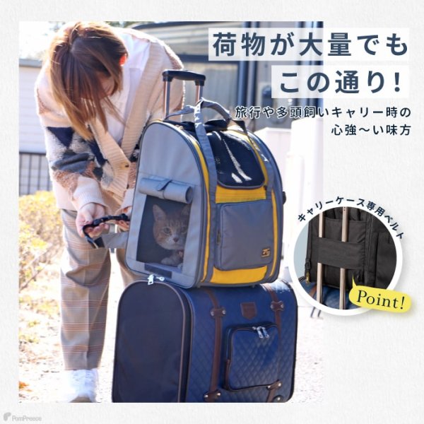 画像17: 【セール品15％OFF】 猫用ペットキャリー3WAYタッチインリュック スカイキャリ― 旅行 通院 散歩 折り畳み収納可能 (17)