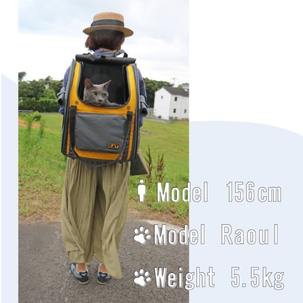 画像19: 【セール品15％OFF】 猫用ペットキャリー3WAYタッチインリュック スカイキャリ― 旅行 通院 散歩 折り畳み収納可能 (19)