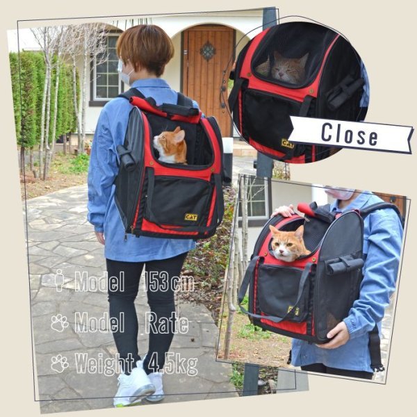 画像15: 【セール品15％OFF】 猫用ペットキャリー3WAYタッチインリュック スカイキャリ― 旅行 通院 散歩 折り畳み収納可能 (15)