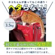 画像8: 【ポイント10倍で会員様はお得】トラベルキャリー オープンメッシュ ハッピーライト【M〜3L】 (8)