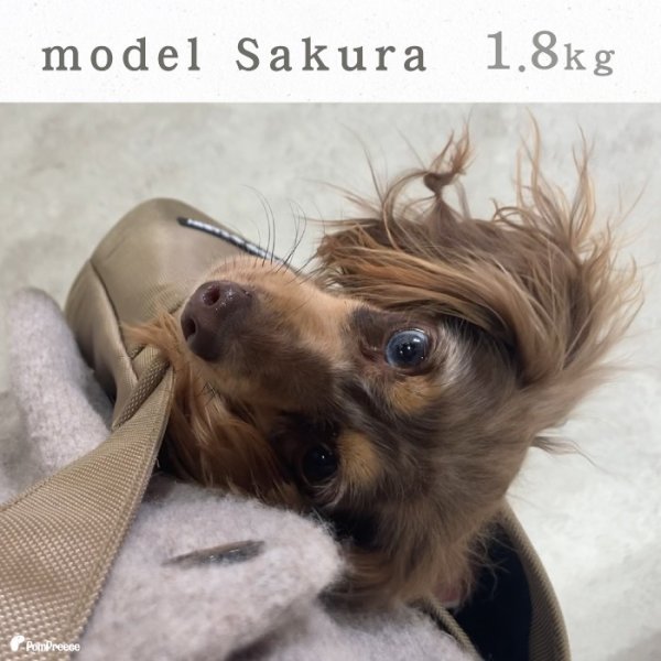 画像8: 【ポイント10倍で会員様はお得】 犬 猫 小動物用 カンガルーバッグ シンプルフリー（カラー：ベージュ） (8)