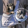 画像15: 【ポイント10倍で会員様はお得】 犬猫用キャリーバッグ S・M・L ハイメッシュラウンドバッグ ヒッコリー（ネイビー）＆デニム  (15)