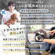 画像3: 【ポイント10倍で会員様はお得】トラベルキャリー オープンメッシュ ハッピーライト【M〜3L】 (3)