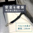 画像12: 【ポイント10倍で会員様はお得】トラベルキャリー オープンメッシュ ハッピーライト【M〜3L】 (12)