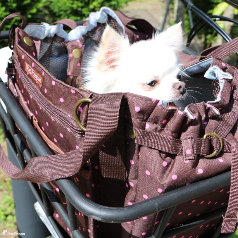 画像12: 犬猫兼用 サイクリングバッグ＆キャリーフレンチドット (12)