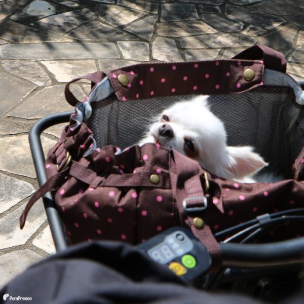 画像13: 【ポイント10倍で会員様はお得】 サイクリングバッグ＆キャリーフレンチドット (13)