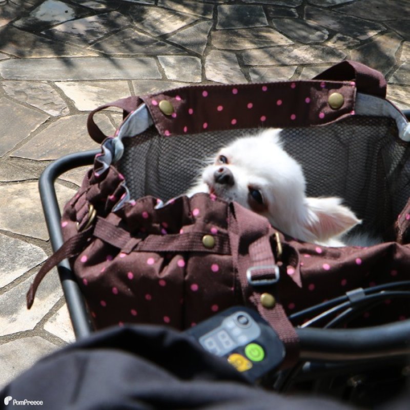 画像13: 犬猫兼用 サイクリングバッグ＆キャリーフレンチドット (13)