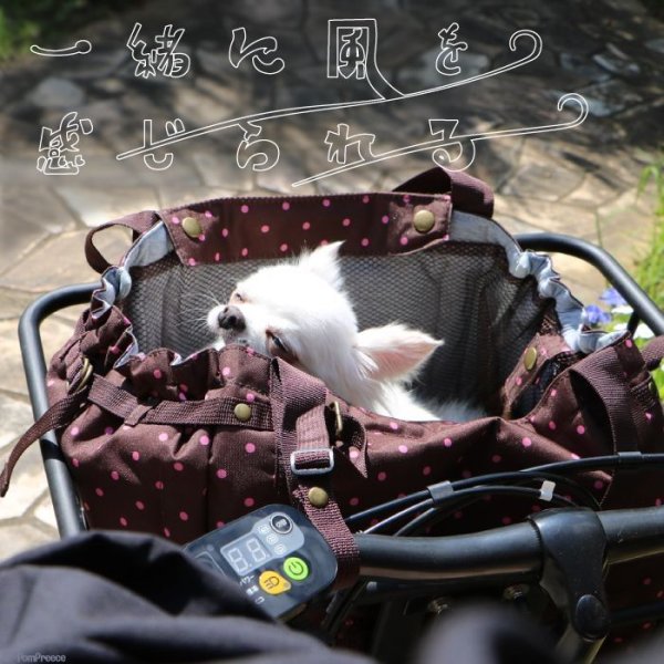 画像4: 【ポイント10倍で会員様はお得】 サイクリングバッグ＆キャリーフレンチドット (4)