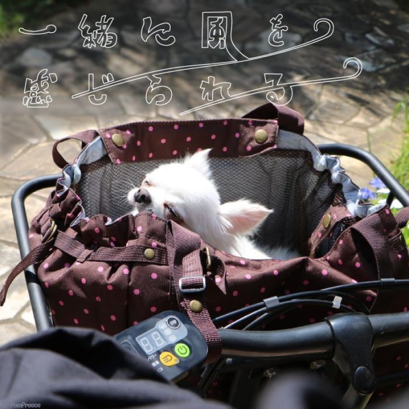 画像4: 犬猫兼用 サイクリングバッグ＆キャリーフレンチドット (4)