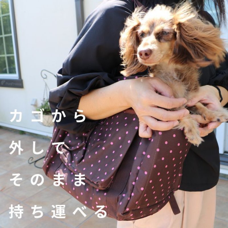 画像7: 犬猫兼用 サイクリングバッグ＆キャリーフレンチドット (7)