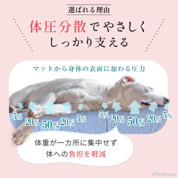 画像5: 【ポイント10倍で会員様はお得】 高反撥エアプレーンマットII　ブルー　ワンサイズのみ　 (5)