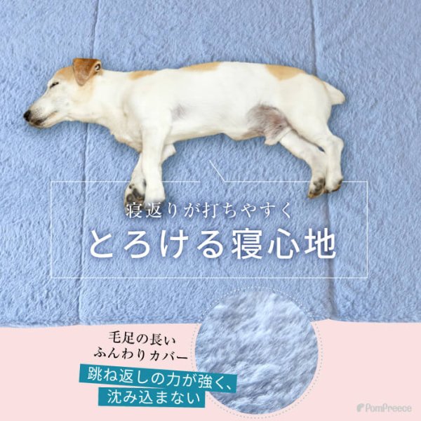 画像6: 【ポイント10倍で会員様はお得】 高反撥エアプレーンマットII　ブルー　ワンサイズのみ　 (6)