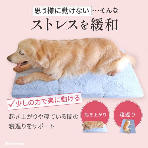 画像7: 【ポイント10倍で会員様はお得】 高反撥エアプレーンマットII　ブルー　ワンサイズのみ　 (7)