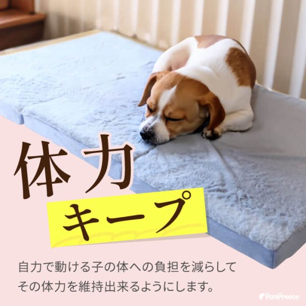 画像8: 【ポイント10倍で会員様はお得】 高反撥エアプレーンマットII　ブルー　ワンサイズのみ　 (8)