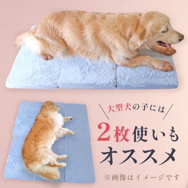 画像15: 【ポイント10倍で会員様はお得】 高反撥エアプレーンマットII　ブルー　ワンサイズのみ　 (15)